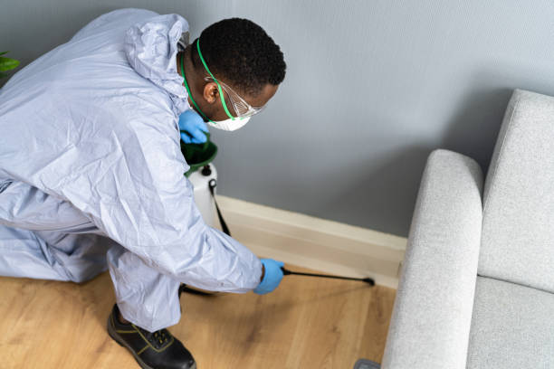 Real Estate Pest Inspections in Larkfield Wikiup, CA